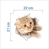 Cats 3D Toilet Sticker